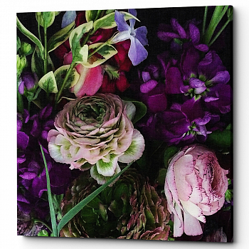 ������� �Sweet Lilac� (�����, ���������� �������)