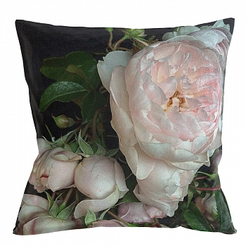 ����������� ������� �Cloud Rose�