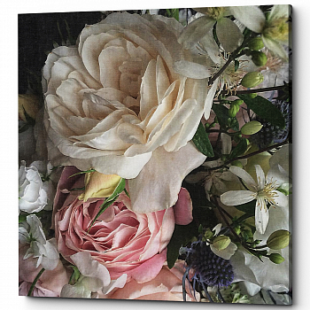 ������� �Veiled Rose� (�����, ���������� �������)