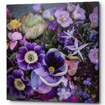 ������� �Bright Violet� (�����, ���������� �������)