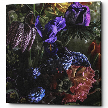 ������� �Pansy� (�����, ���������� �������)