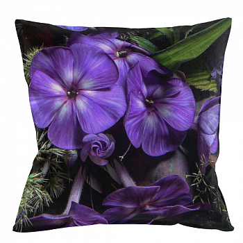 ����������� ������� �Ultra Violet�