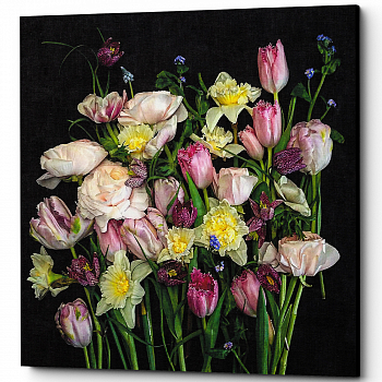 ������� �Polignac Rose� (�����, ���������� �������)