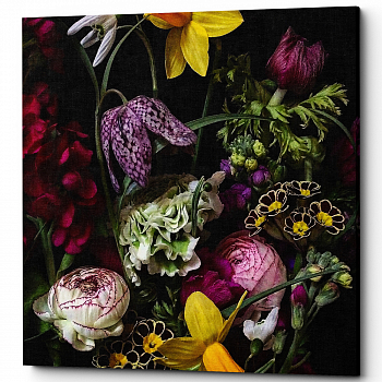������� �Cyclamen� (�����, ���������� �������)