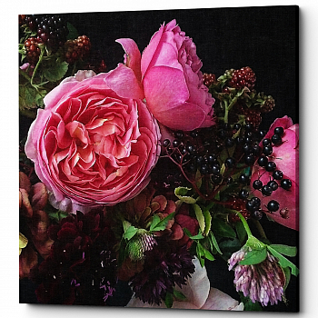 ������� �Camelia Rose� (�����, ���������� �������)