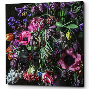 ������� �Wild Orchid� (�����, ���������� �������)