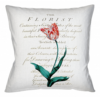 ������������ ������� ���������������, ������ 6