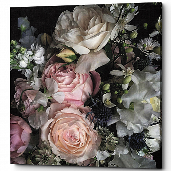 ������� �Tender Rose� (�����, ���������� �������)
