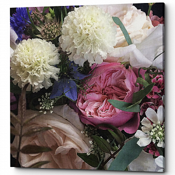������� �Rosewater� (�����, ���������� �������)