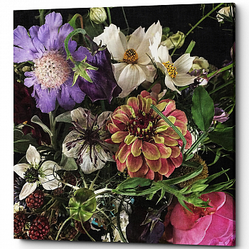 ������� �Potpourri� (�����, ���������� �������)