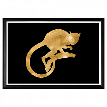 ���-������ �������� ��������