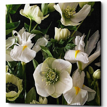 ������� �Bright White�