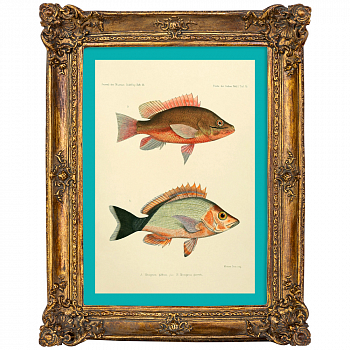 ������� ����� ��������� - 67� � ���� ��������� ���� ���� ���� ���� ���� ������� ������ ��������