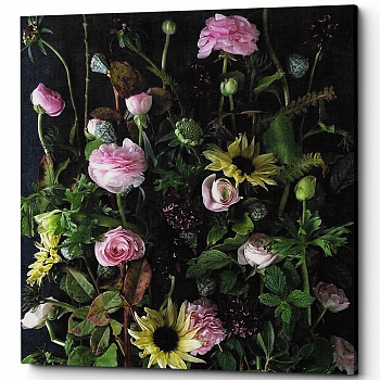 ������� �Chalk Rose�